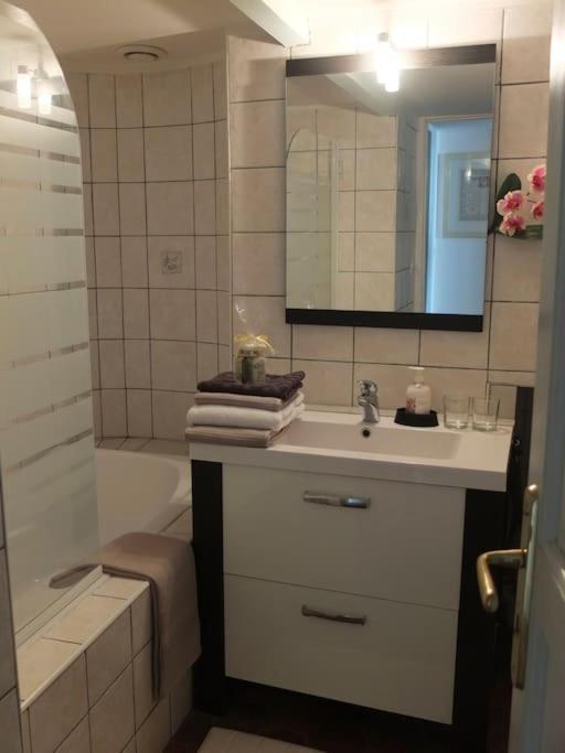 דירות דיז'ון Charming Flat In Historical Centre מראה חיצוני תמונה
